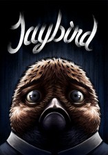 Jaybird by Jaako Ahonen and Lauri Ahonen (Dark Horse Comics)