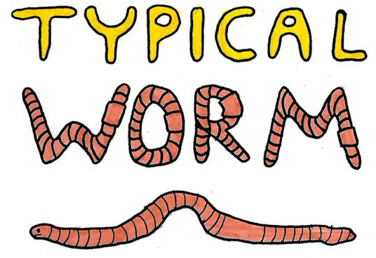 Typicalworm_0815