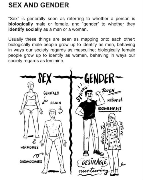 Queer: A Graphic History by Meg-John Barker