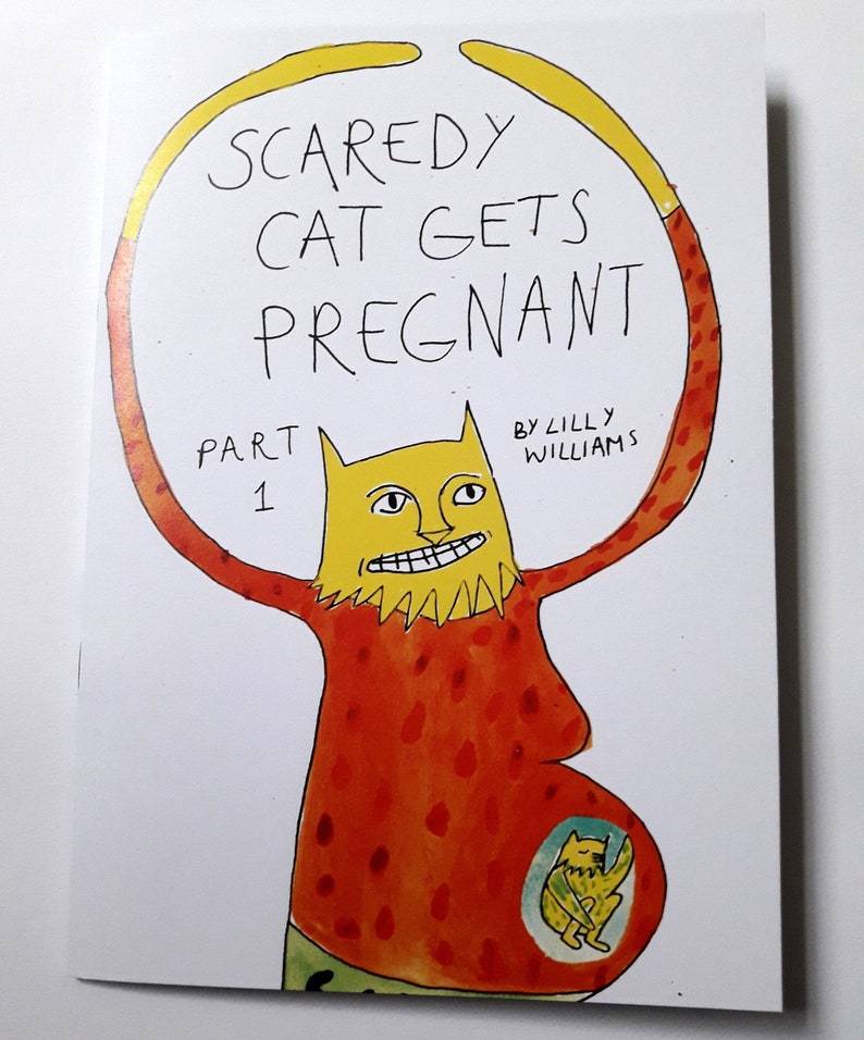 Scaredy Cat Gets Pregnant Part 1 – Lilly Williams' Pandemic Journey from  Pregnancy to Parenting - Broken Frontier