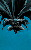 Batman~The-Long-Halloween_HCF13
