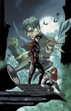 Nightwing_ann_1